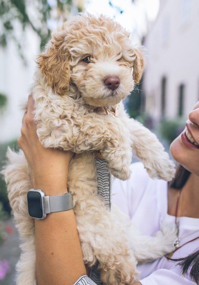 flouffy-REzrl3m1r5A-unsplash