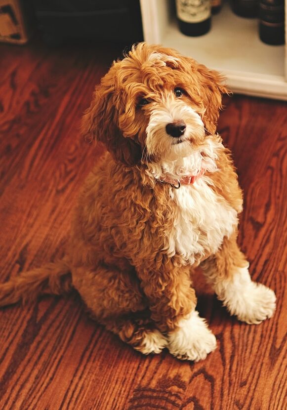 leiada-krozjhen-7lahRWgD2qM-unsplash